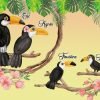 Portrait de Famille Toucans